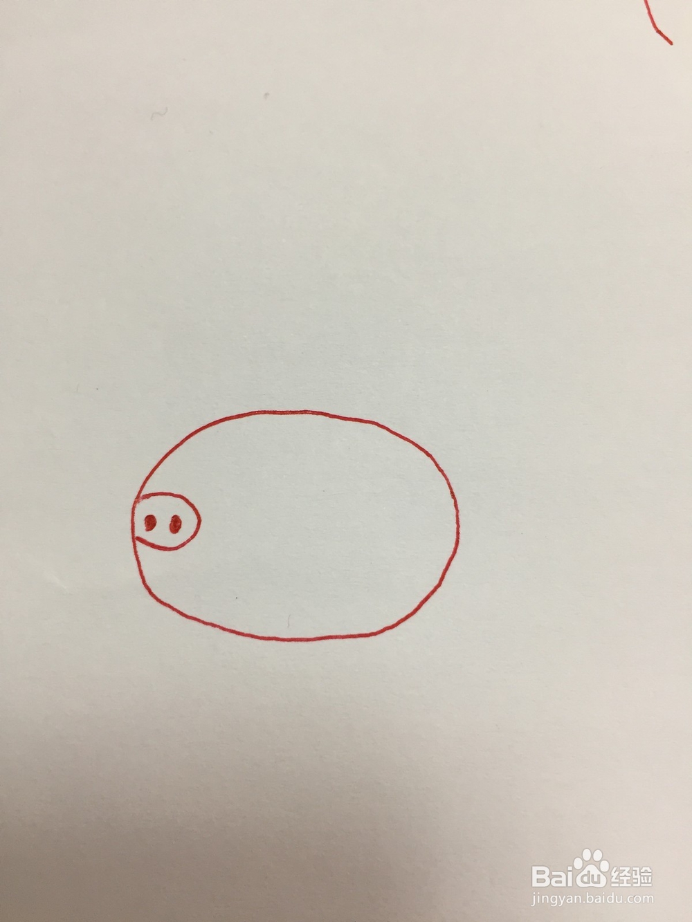 怎么画猪简单好学