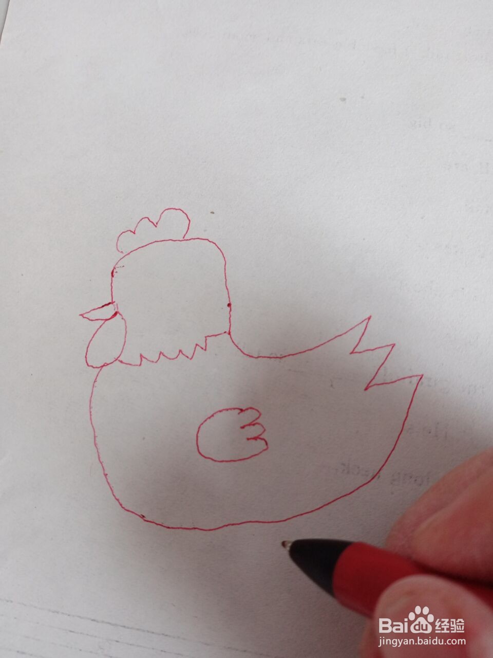 大公鸡的简笔画
