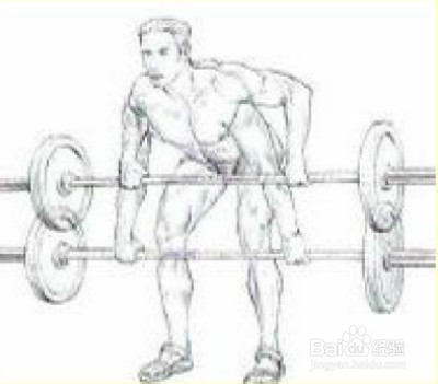 增肌速成：[2]如何有效锻炼背阔肌