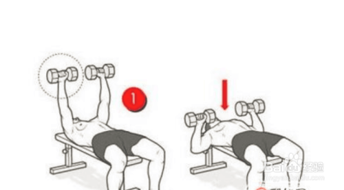 扩大胸肌宽度的锻炼方法图片