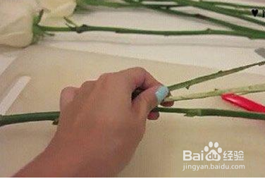 个性彩虹玫瑰花的方法教程