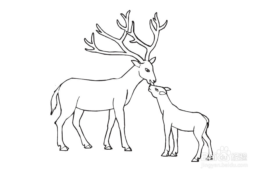 母鹿的简笔画图片