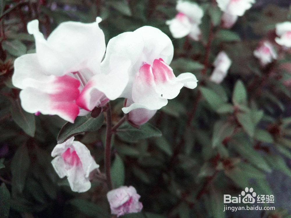 6条写作建议，帮助你写出更好的文章