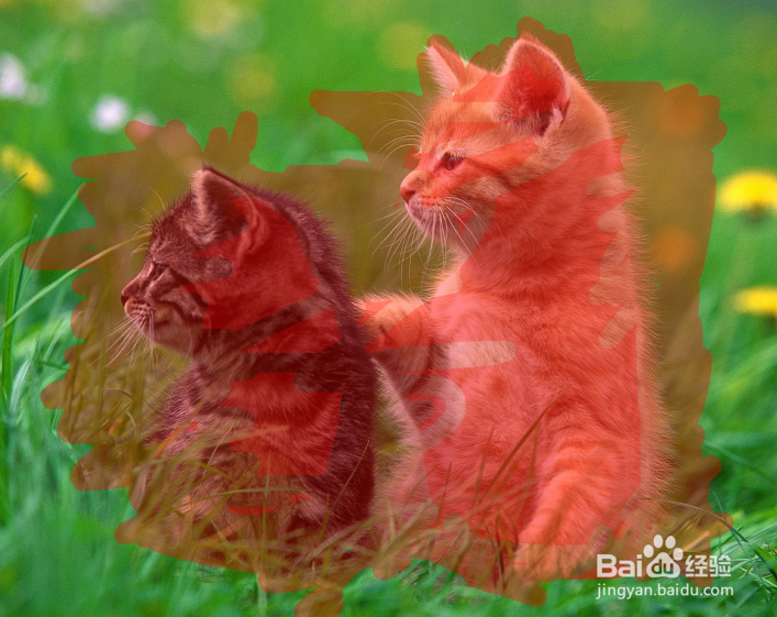 怎么使用PS中的快速蒙版？