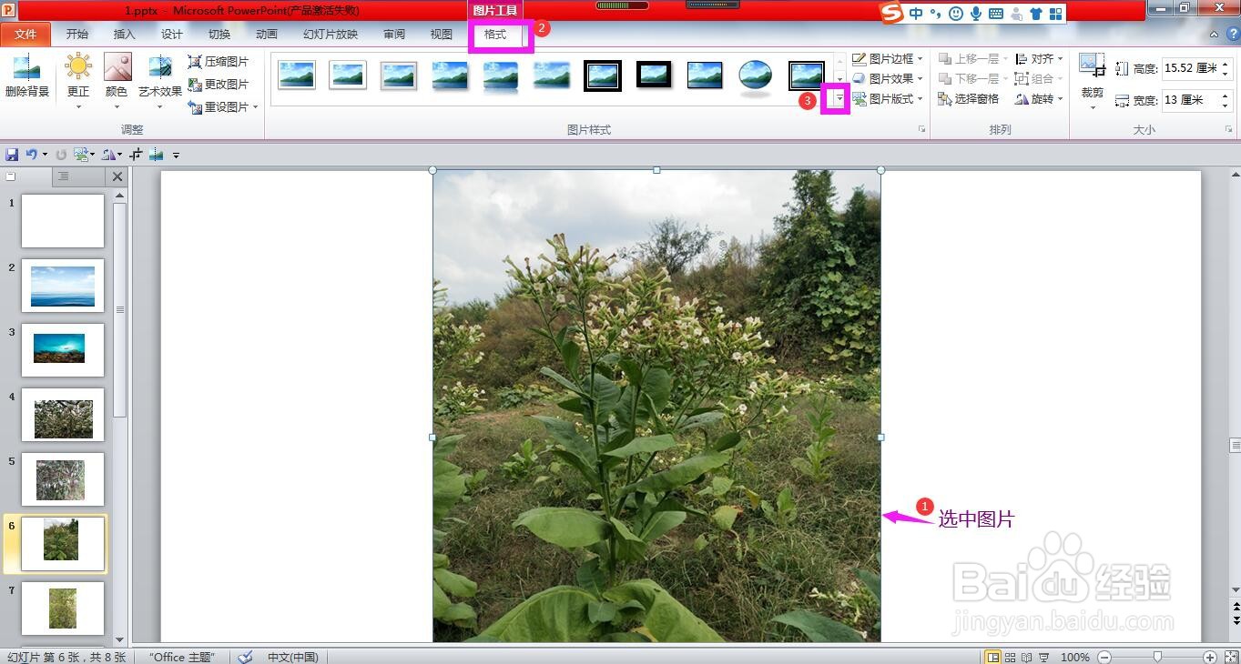怎样使用PPT设置图片的样式