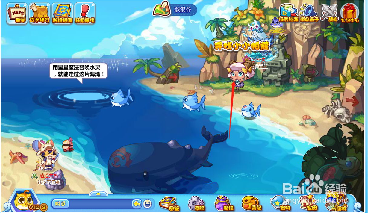 洛克王国游戏中如何参加限时活动寻找小小帕蔻?