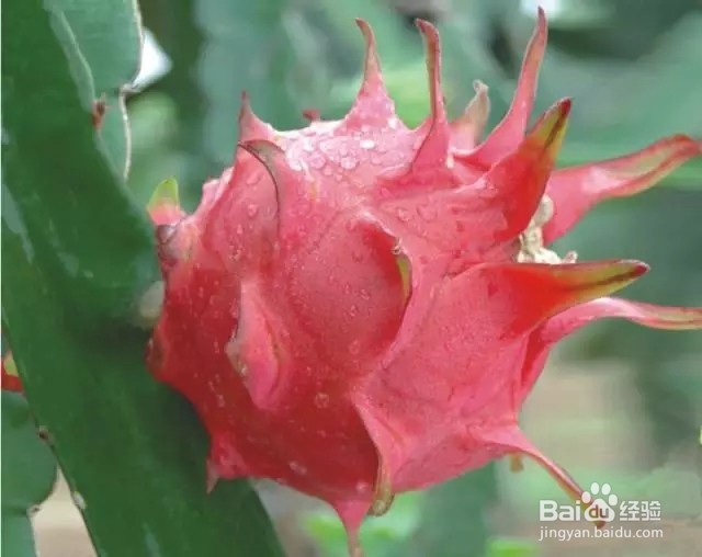 一生都不胖的方法！不用饿肚子，不用吃药，简单