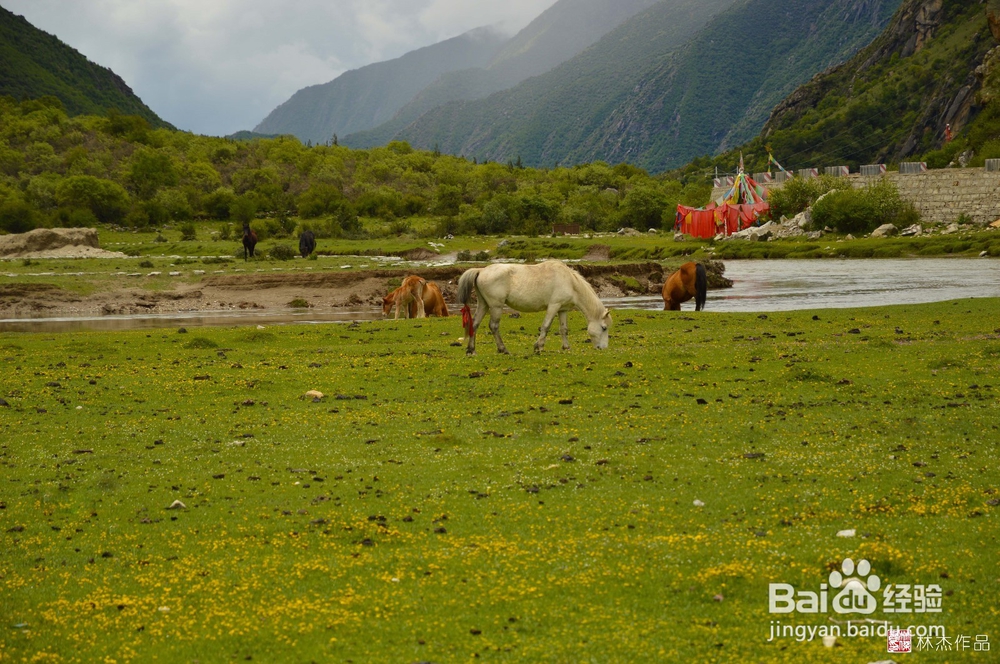 2016西藏拉萨拉姆拉错高品质自由行攻略摄影游
