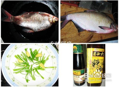 送给偶像刘翔的孔雀开屏鱼