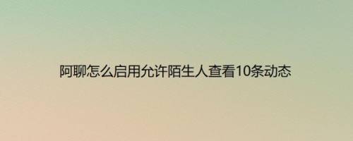 阿聊怎么启用允许陌生人查看10条动态