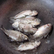 鲫鱼萝卜枸杞汤