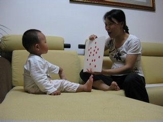 闪卡简介、分类