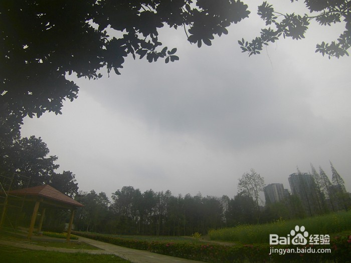 PS教程把风景照片调成彩色油画效果的