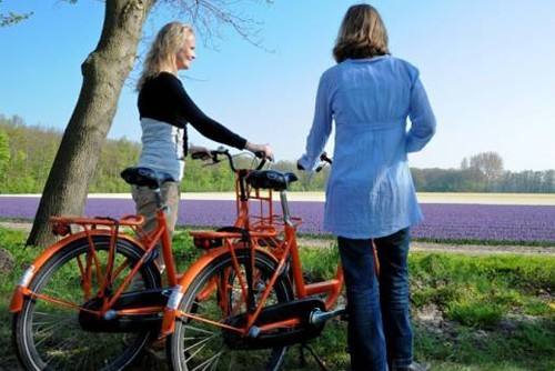 荷兰自行车游攻略（荷兰旅行自行车）