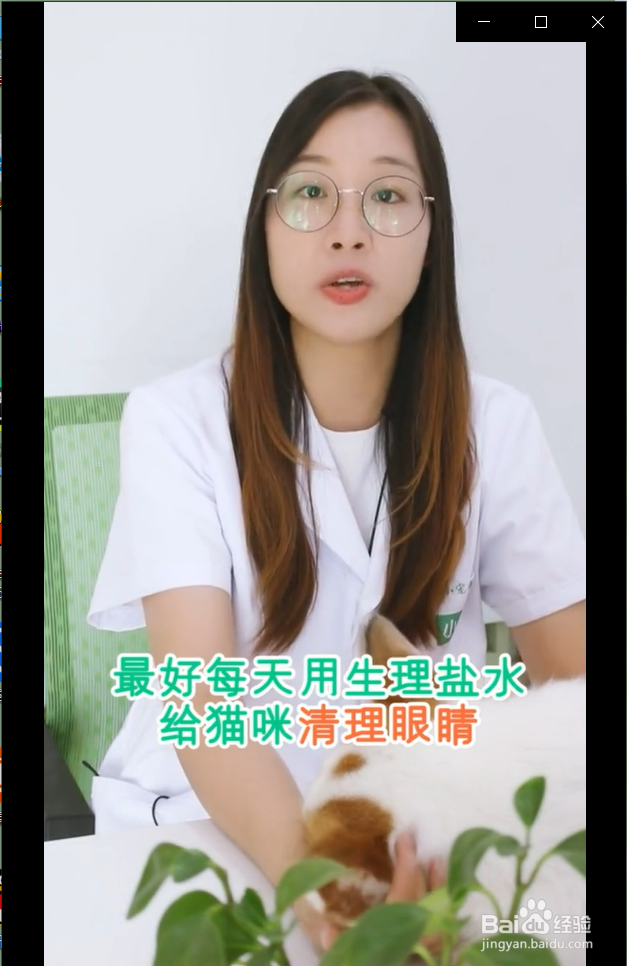 猫咪眼睛红肿流眼泪是怎么回事