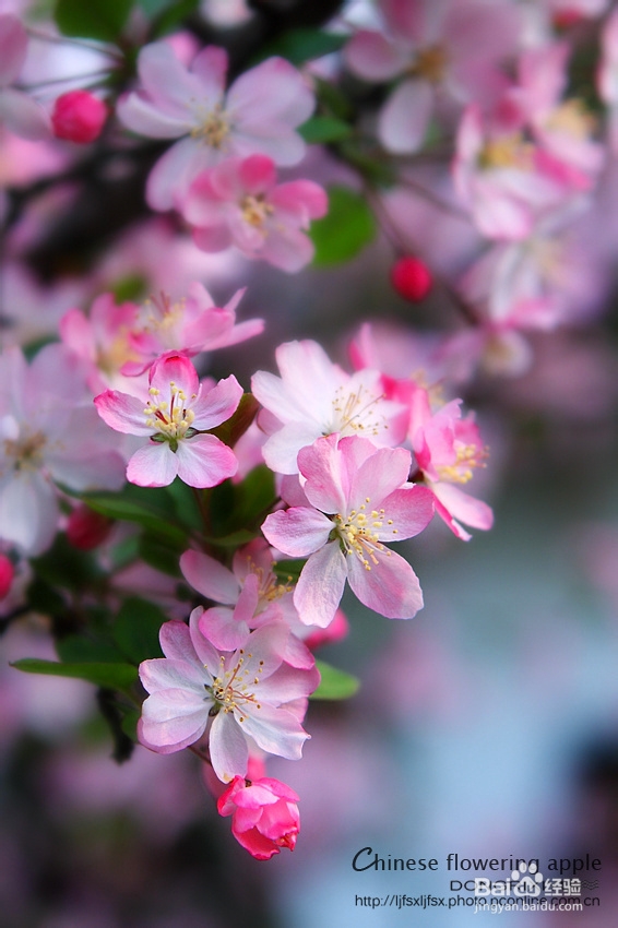邮件营销很简单