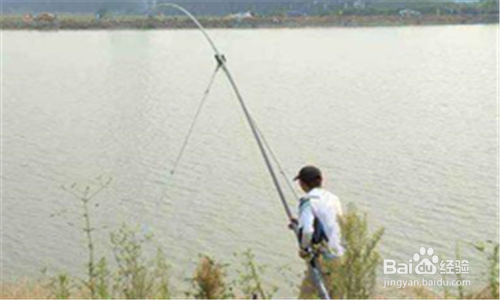 春季钓鱼怎么选钓点