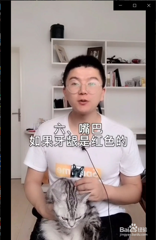 怎么在家给猫咪做体检