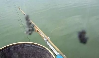 钓鲫鱼避免小鱼方法