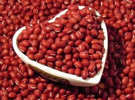 中医推荐的养生菜第一弹