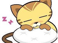 失眠睡不着该怎么办