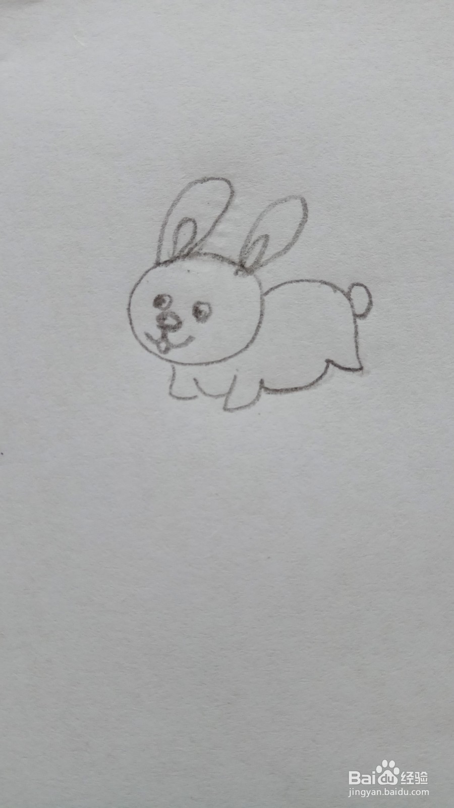 儿童简笔画彩色小兔子的画法
