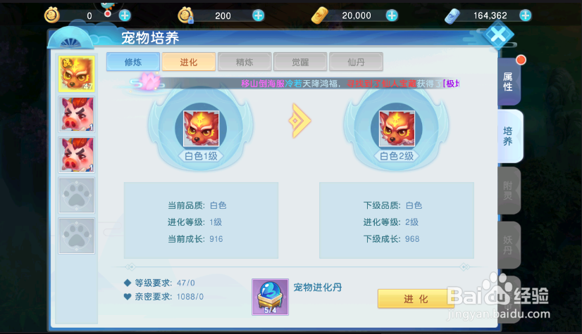 《东方奇缘》如何进化宠物