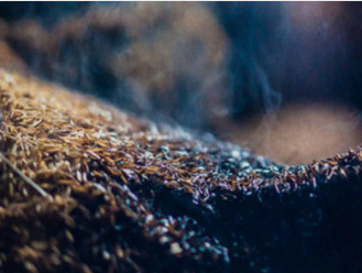 怎样制作米圣米酒?