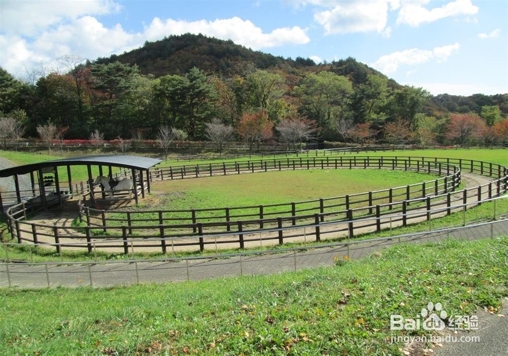 返乡农民工回家养殖盘步骤？