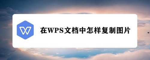 在wps文档中怎样复制图片