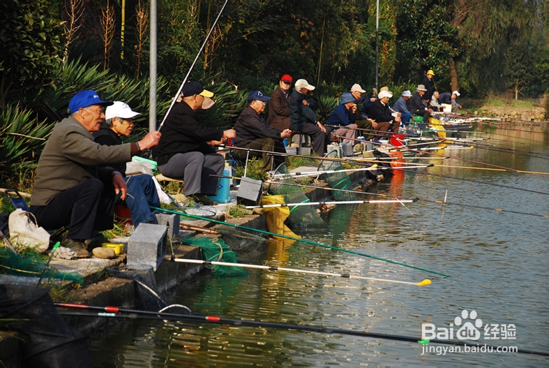 鱼竿的选购技巧