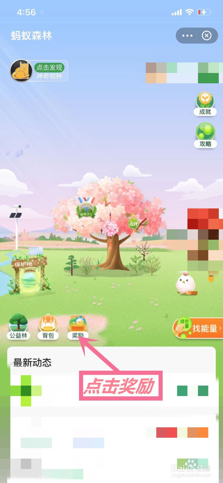支付宝蚂蚁森林怎么获得更多能量