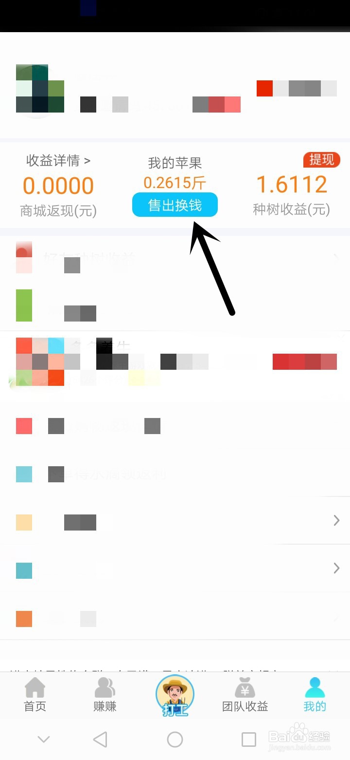 多多果林苹果如何兑换现金？