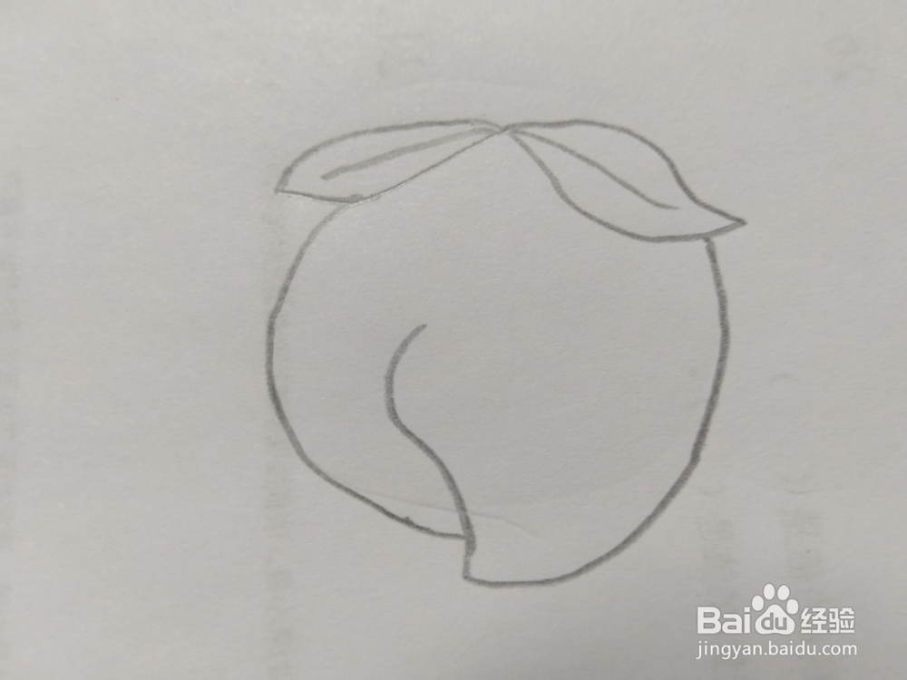 简笔画桃子画法7