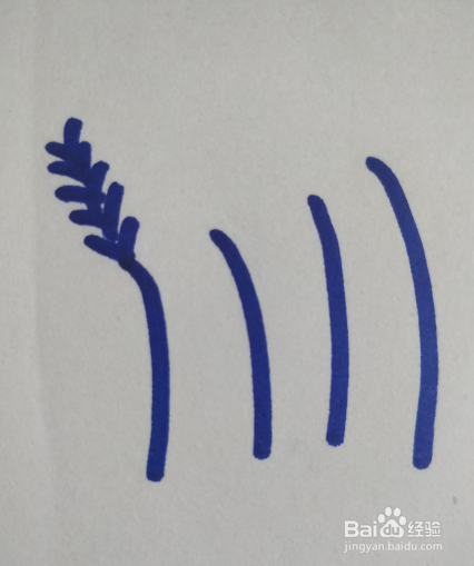 芦苇丛的简笔画怎么画?