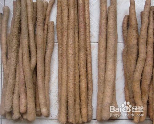 淮山的功效与作用及食用方法