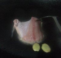 拆鱼煮花生粥的做法
