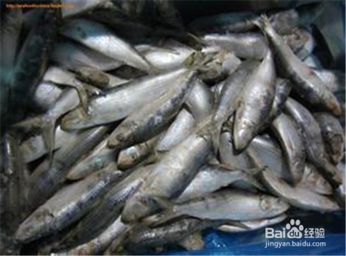 提高记忆力的食物？