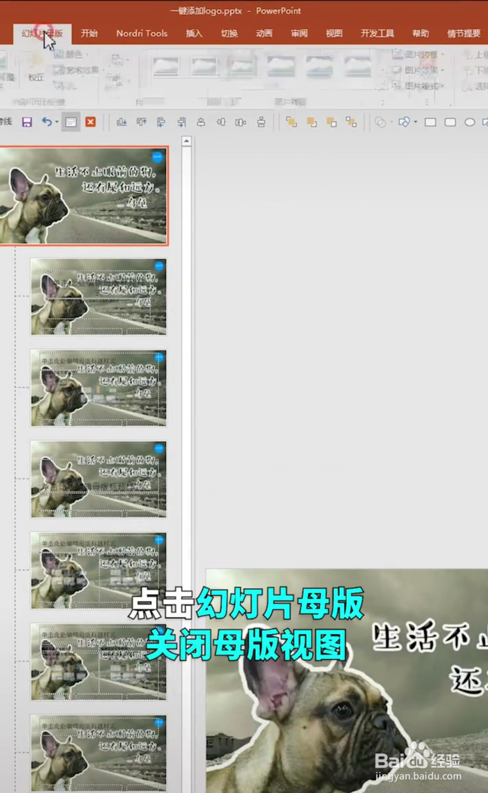 PPT中如何给图片批量加LOGO？