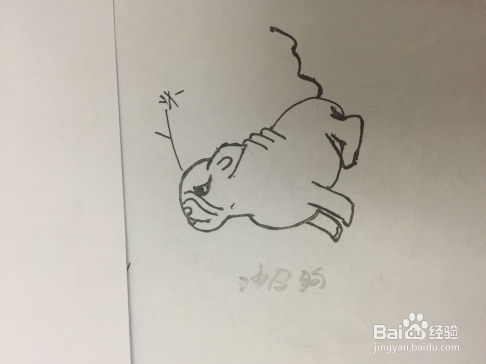 如何画在想问题的沙皮狗。