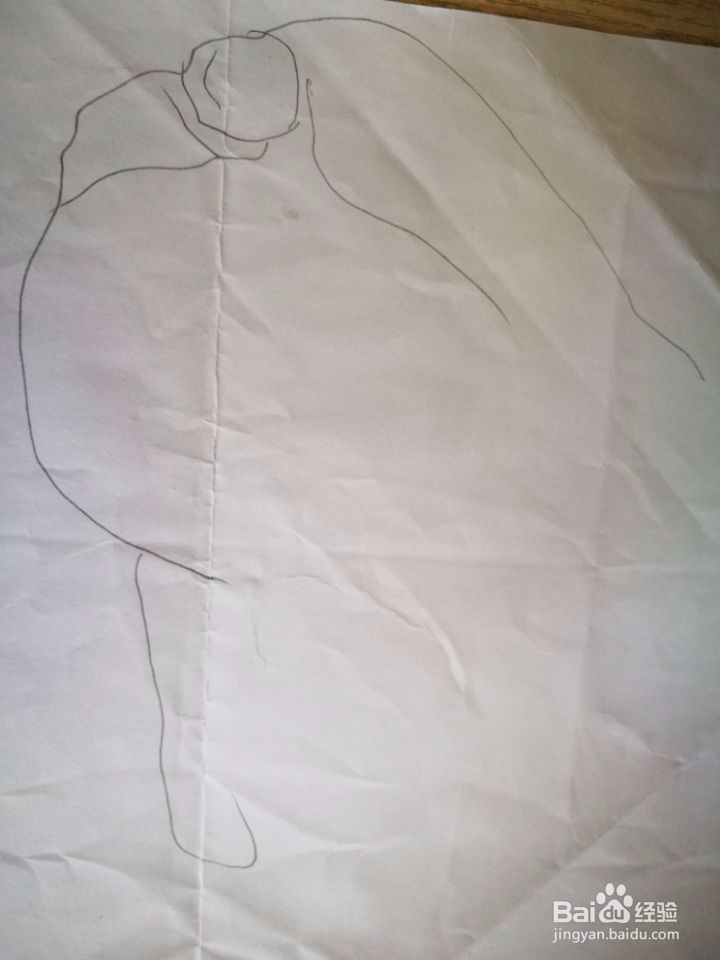 大白菜简笔方法