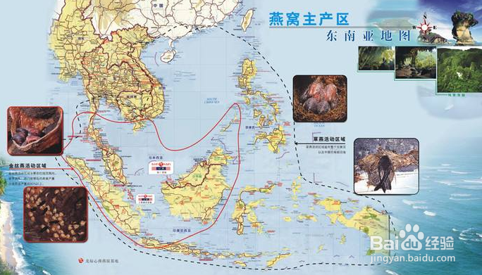 孕妇燕窝的做法，你学会了几道？