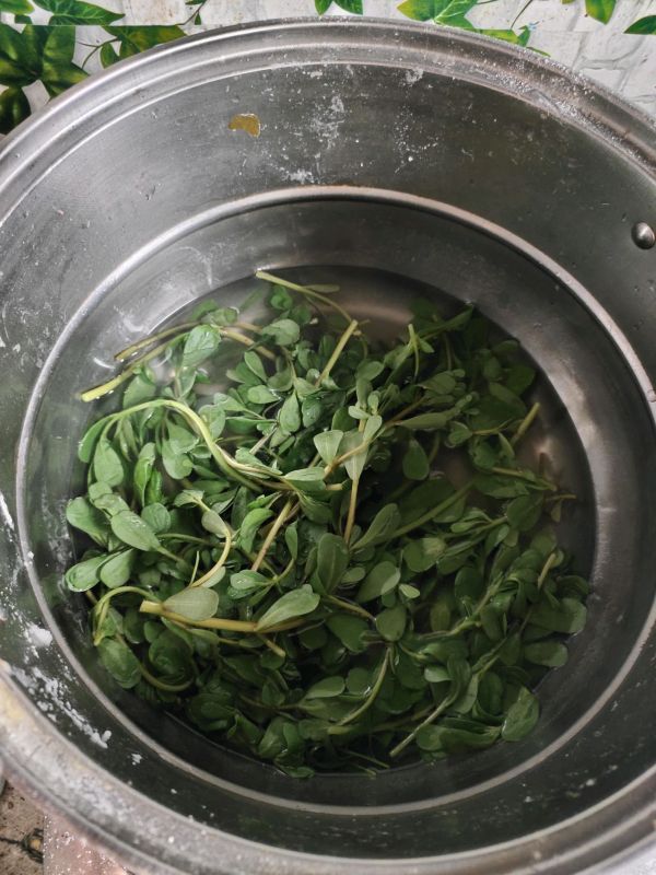 野味小菜凉拌马齿苋