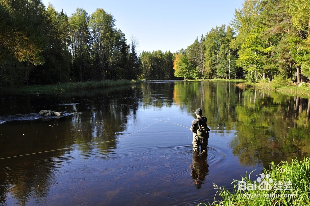 你不知道的钓鱼的几个好处