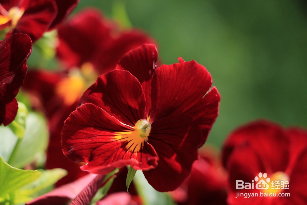 怎样查看单反相机里面照片的大小和摄影信息