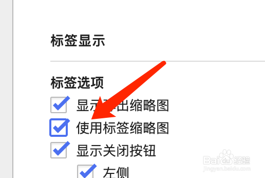 Mac版Vivaldi浏览器如何使用标签缩略图