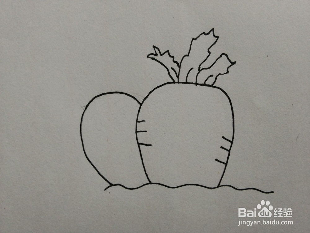 简笔画——怎么画小兔子和胡萝卜