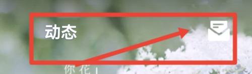 qq2021年度报告在哪里