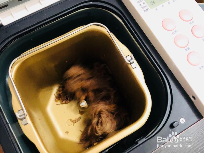 虾皮海苔牛肉松的做法