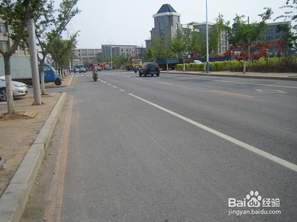 怎样告诉孩子安全过马路--30